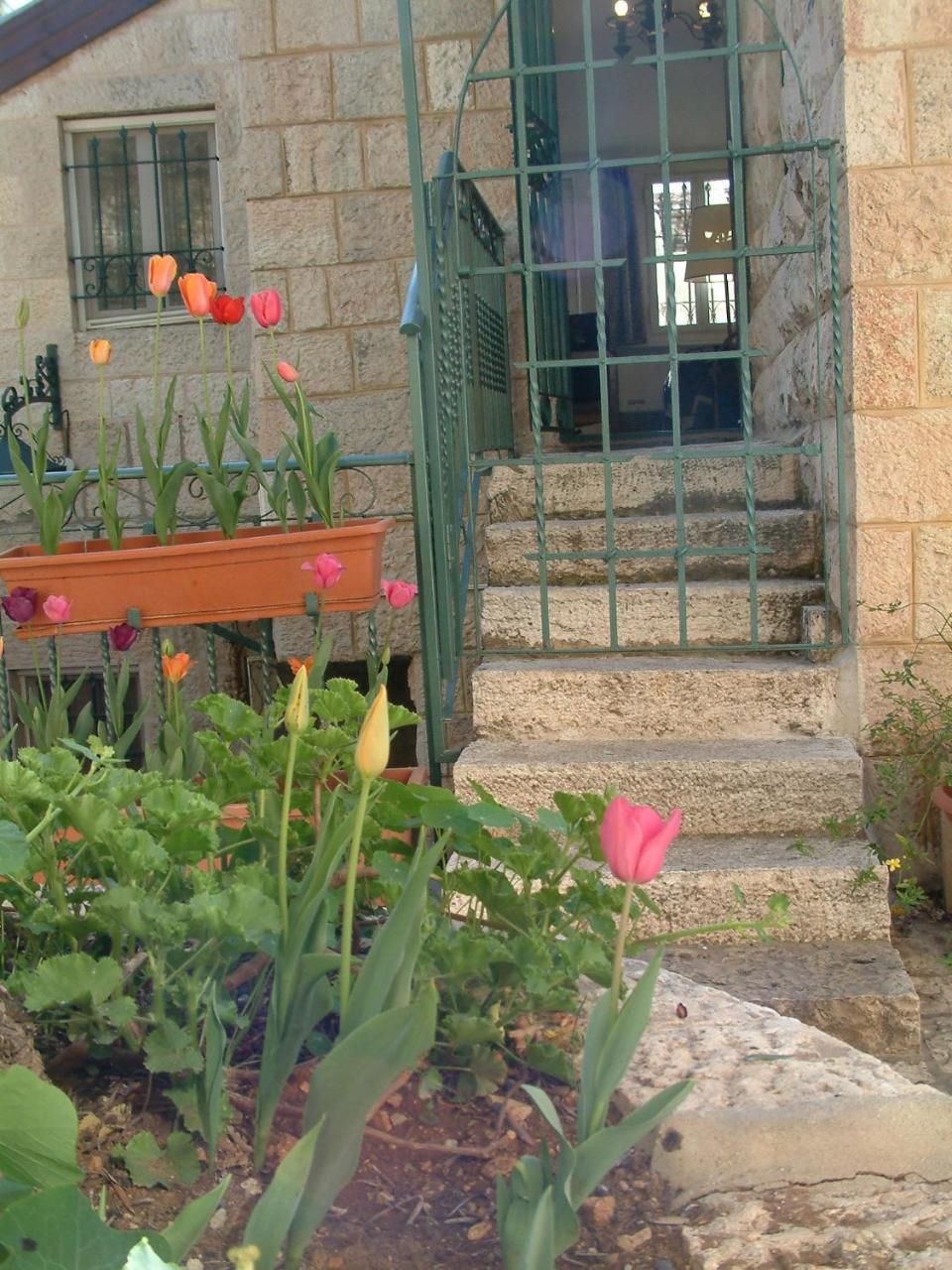 Avissar House Daire Kudüs Dış mekan fotoğraf